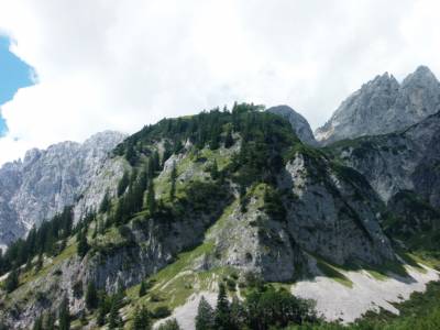 waldgrenze_wilder_kaiser_ellmau.JPG